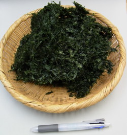 鹿児島産あおさ